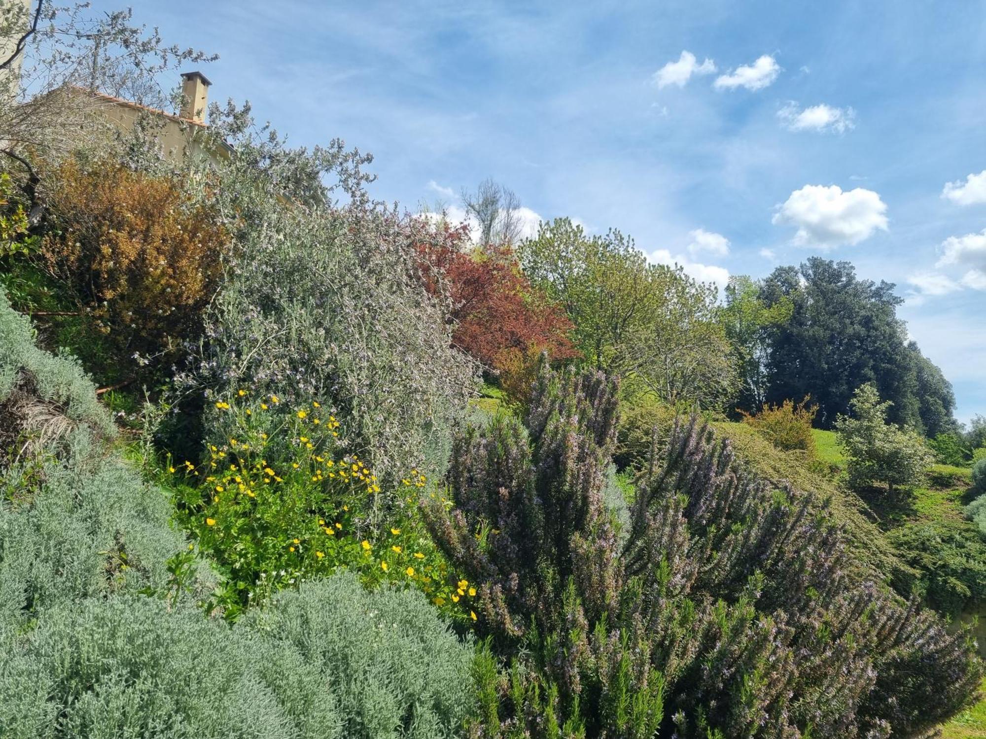 Cote Lac Tolla Exterior photo